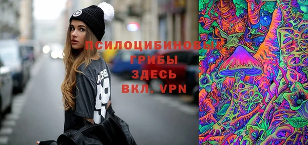 хмурый Бронницы